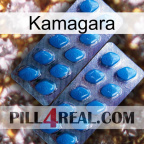 Kamagara viagra2